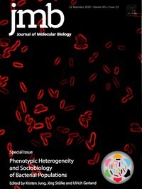 jmb special issue Phenotypic Heterogeneity 1